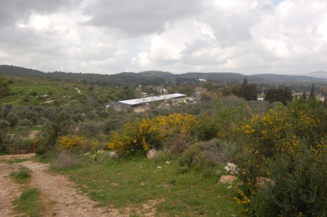 Mishmar Ha'emek Kibbutz