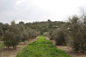 Kibbutz