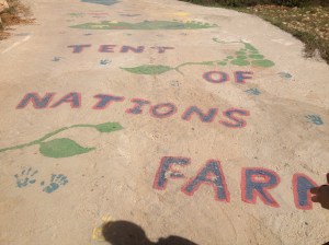 The sidewalk art on the entrance to the Tent of Nations Farm