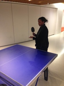 Ping Pong Table