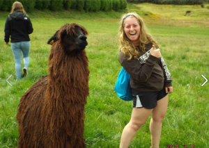 Screen Shot 2014-03-16 at 11.09.10 AM