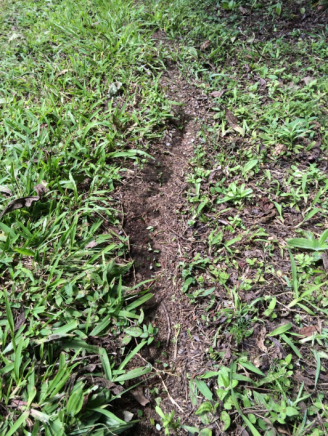 Screen Shot 2016-03-06 at 9.27.32 AM.png