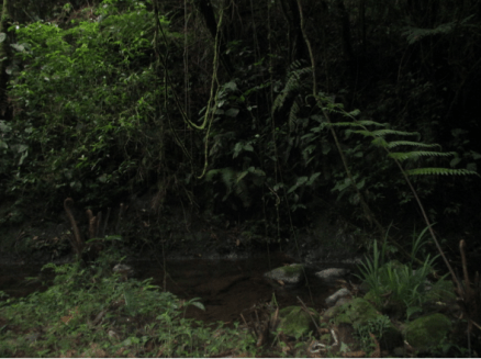 Screen Shot 2016-03-07 at 8.24.41 AM