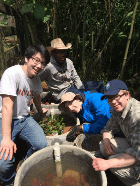 Screen Shot 2016-03-07 at 8.25.47 AM.png