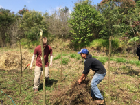 Screen Shot 2016-03-08 at 3.10.42 PM.png